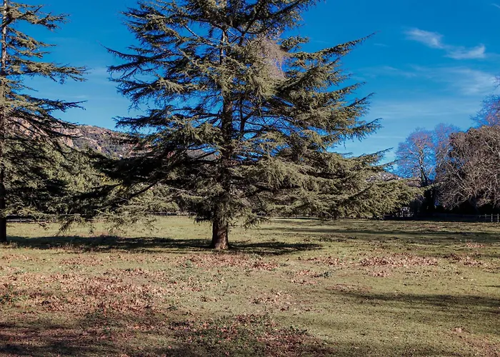 La Bastide Holiday home Saint-Raphael (Var)