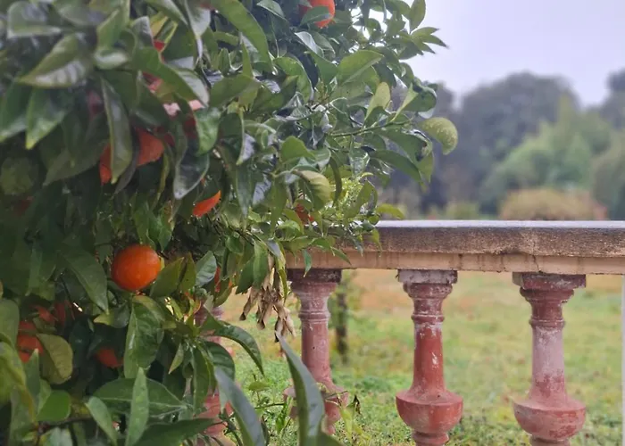 La Bastide Saint-Raphael (Var)