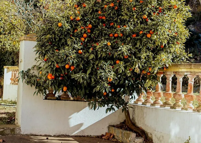 La Bastide Holiday home Saint-Raphael (Var)