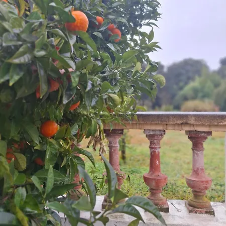 La Bastide Saint-Raphael (Var)