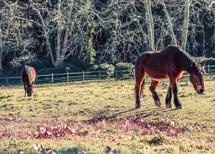 La Bastide * Saint-Raphaël