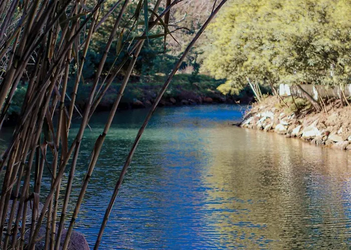 Dom wakacyjny La Bastide Saint-Raphaël